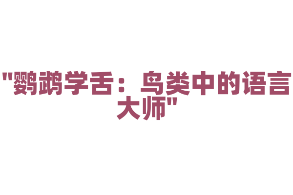 "鹦鹉学舌：鸟类中的语言大师"